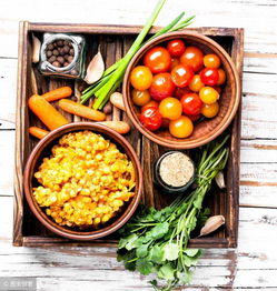 上海冷凍食品經營許可證申請指南