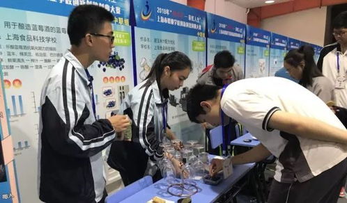 上海食品科技學校甜玉米汁配方優化項目成功入圍“挑戰杯—彩虹人生”全國復賽